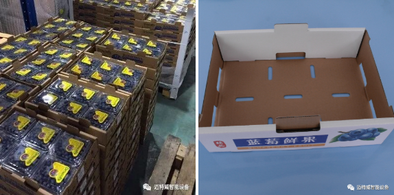 自動套袋機(jī)供應(yīng)