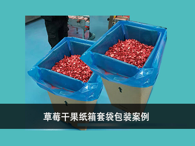 自動內(nèi)套袋機