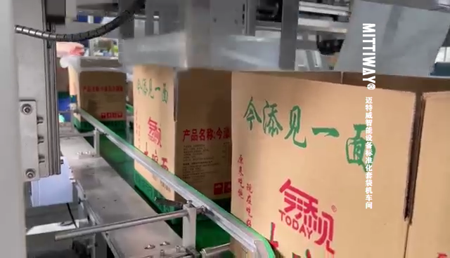 方便面包裝自動套袋包裝機，PE內(nèi)膜袋紙箱套袋機包裝